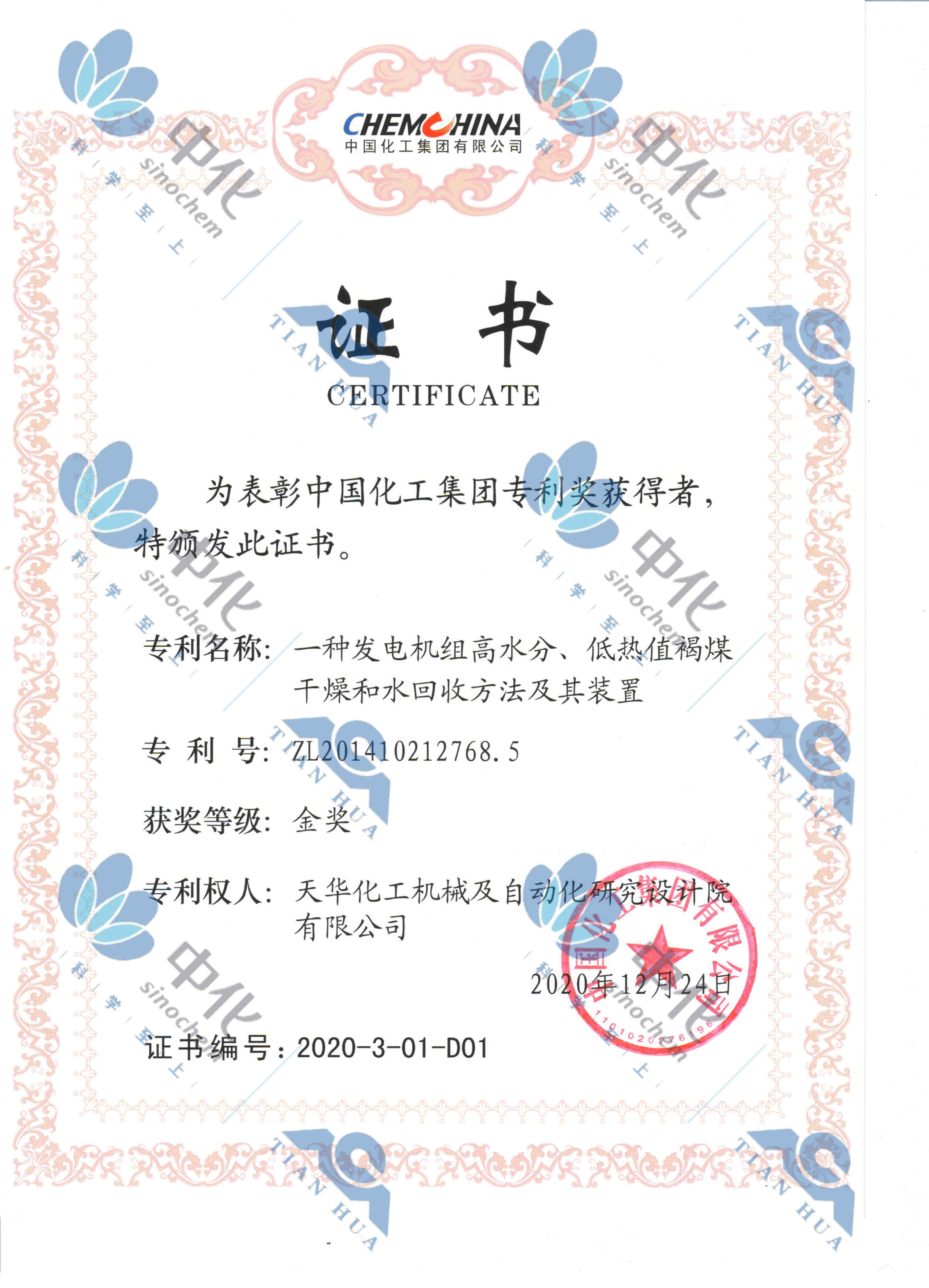 中国化工集团专利金奖