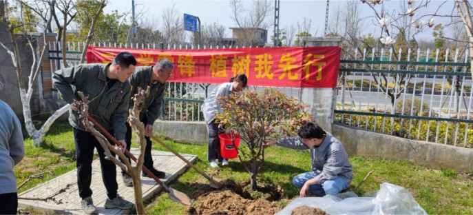 点击查看大图
