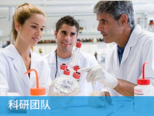 科研团队